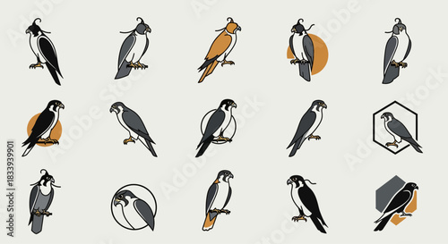 Collection of falcon illustrations in varied poses and graphic elements showcasing elegance and