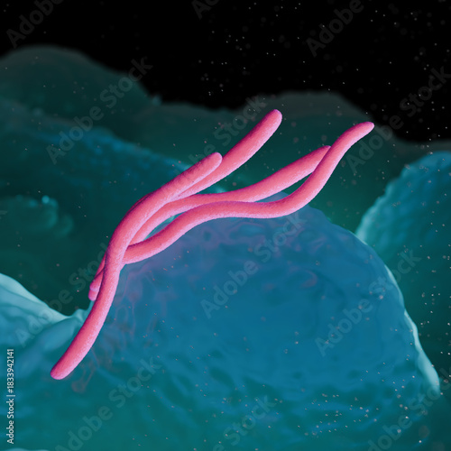3D Illustration of Borrelia burgdorferi Bacteria – Lyme Disease Spirochete in Microscopic Tissue Environment