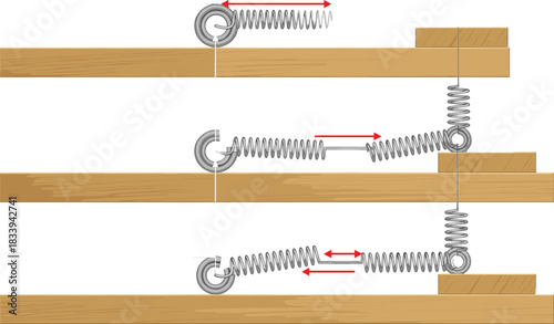 Three-stage physics diagram of spring tension showing compression, equilibrium, and extension with force arrows