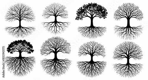 Silhouette collection of trees with different shapes and root systems for ecological designs