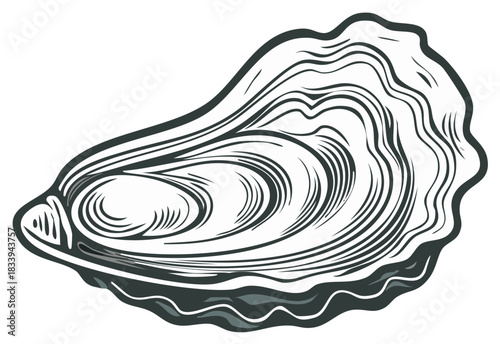 Stylized Oyster Shell Vector Illustration Marine Life Seafood Delicacy Drawing