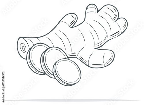 Line Art Drawing of Whole Ginger Root and Circular Slices