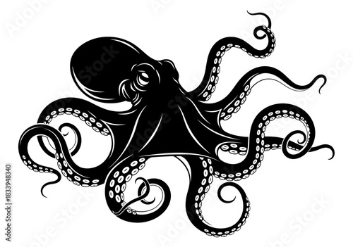 Lone tree stands silhouetted against a vibrant sunset sky in a peaceful landscape