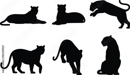 Canvas Print Black panther silhouette set with dynamic poses, wild cat shadow collection for