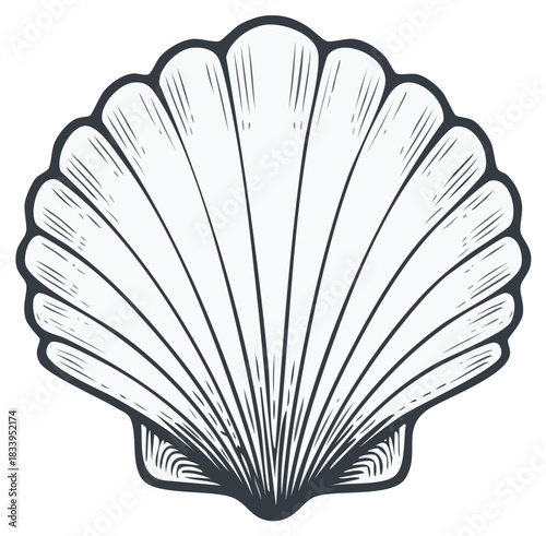 Monochrome scallop seashell vector icon with hand drawn engraved texture