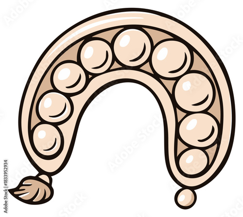 Cartoon vector illustration of a decorative string of beads.