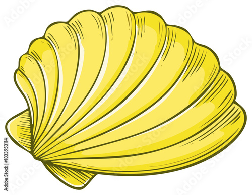 Illustration of a yellow seashell. Hand drawn style, isolated on white background.