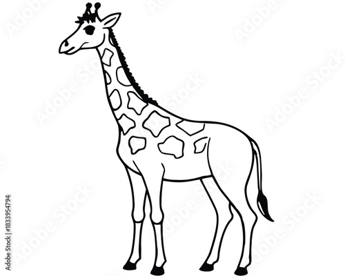 Giraffe
