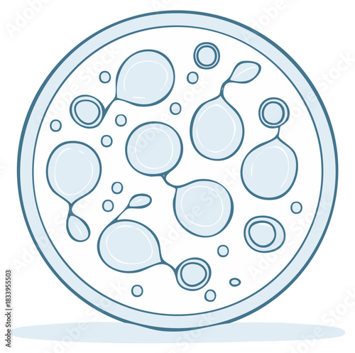 Microscopic Yeast or Bacteria Cells Budding and Growing in a Petri Dish Laboratory Illustration