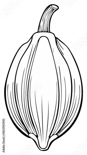 Gourd Outline Simple Line Art Drawing Fresh Produce Seasonal Vegetable Design
