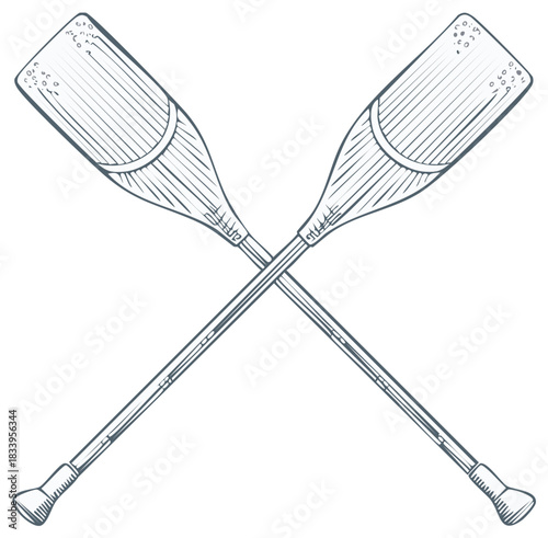 Crossed Paddles Sketch: Hand Drawn Vector Illustration of Kayak or Canoe Equipment