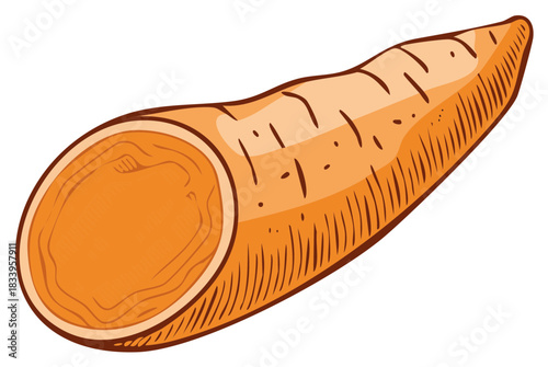 Cartoon sweet potato cut in half with visible texture illustration