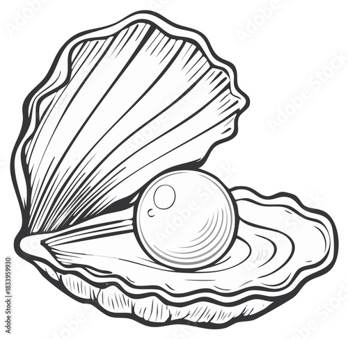 Hand Drawn Pearl inside an Open Oyster Shell Vector Illustration