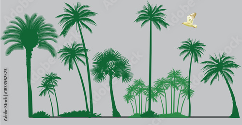 Palmen Kollektion Hintergrundmotiv,  Illustration