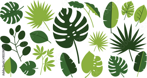 A vibrant collection of various green tropical plant leaves and foliage in a flat design illustration style