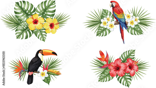 Tropical birds and flowers collection featuring macaw toucan hibiscus and monstera leaves