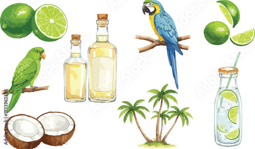 Tropical ingredients including limes coconuts and parrots with bottles of liquid on a white background creating a vibrant and refreshing composition