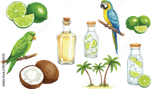 Tropical cocktail ingredients featuring colorful parrots limes coconuts and palm trees with bottles of liquor on white background