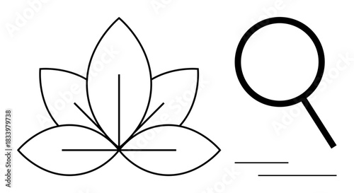 Lotus flower with symmetrical petals alongside a magnifying glass. Ideal for growth, discovery, mindfulness, wellness, research, exploration, simplicity and holistic development concepts. Clean