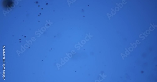 Hydrogen (H2) Gas Emission in Liquid Environment Close Up under Microscope 100x Magnification, Blue Background Research, Chemical Reaction Process, Scientific Microscopic Analysis Detailed View