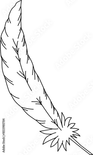 Minimal line-art feather illustration, light and elegant, symbolizing freedom, calm, and natural beauty.