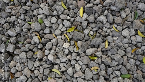 Gray Gravel Texture With Scattered Green And Yellow Leaves
