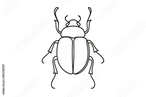 Outline drawing of a detailed beetle with open wings