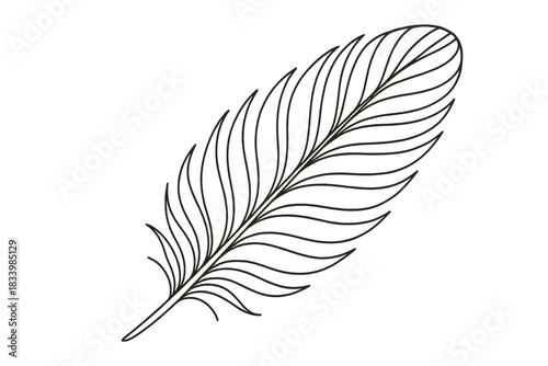 Intricate black and white feather outline design on white background