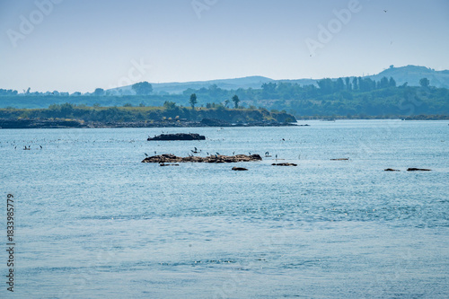 Sahastradhara Waterfall is a waterfall In Narmada river located in Maheshwar, Madhya Pradesh, India