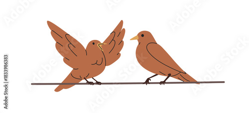 Birds couple sitting on wire. Perched avian animals, thrushes clinging on power line, electric cable. Robins pair communication, conversation. Flat vector illustration isolated on white background