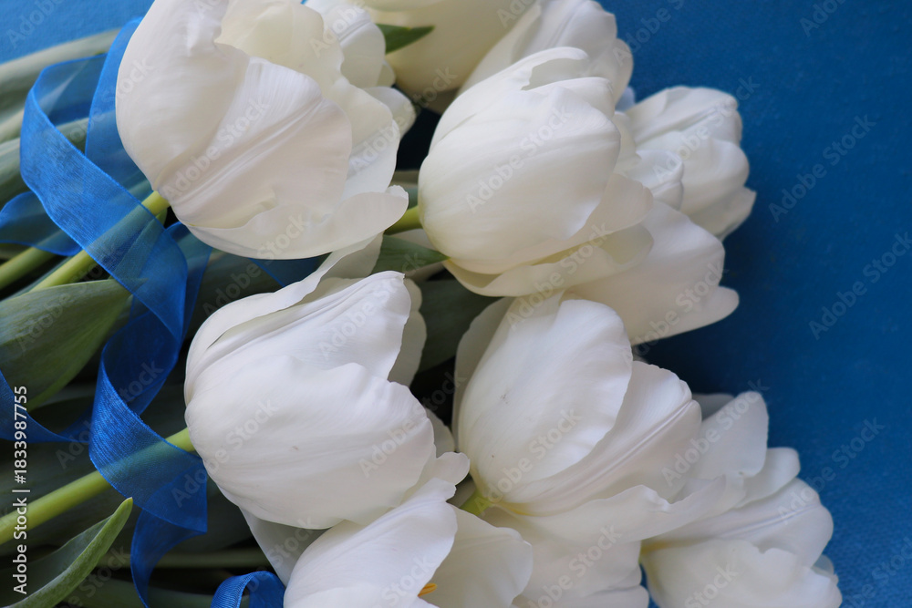 Fototapeta premium greeting card design. bouquet of tulips on a white background and space for text 