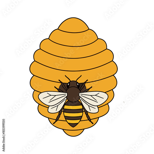 A bee in front of a beehive vector illustration