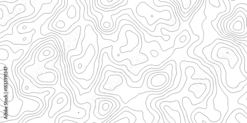 Contour abstract map relief land outline. Topographic map patterns. White wave paper curved reliefs abstract background. Background of the topography map. Abstract pattern with lines.	
