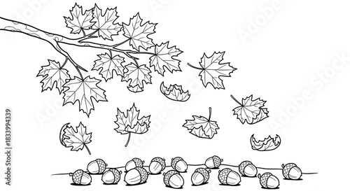 Natural Scatter of Falling Leaves and Acorns on the Ground Black and White Drawing