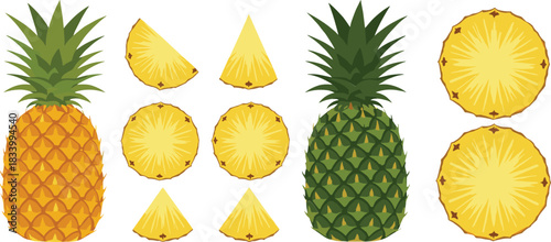 Cartoon Pineapple Fruit Collection with Whole Pineapples and Slice Pieces Tropical Fresh Flat Vector Illustration Set
