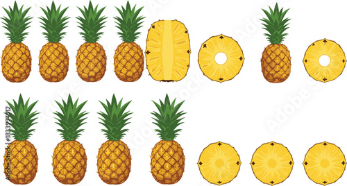 Cartoon Pineapple Fruit Collection with Whole Pineapples and Sliced Rings Tropical Colorful Flat Vector Illustration Set