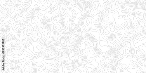 Contour abstract map relief land outline. Topographic map patterns. White wave paper curved reliefs abstract background. Background of the topography map. Abstract pattern with lines.	
