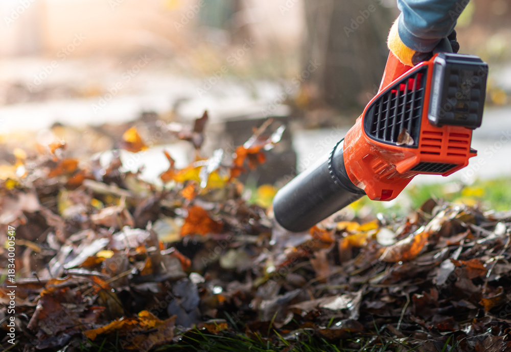 Obraz premium Person using a leaf blower to clear the leaves