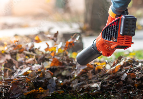  Person using a leaf blower to clear the leaves