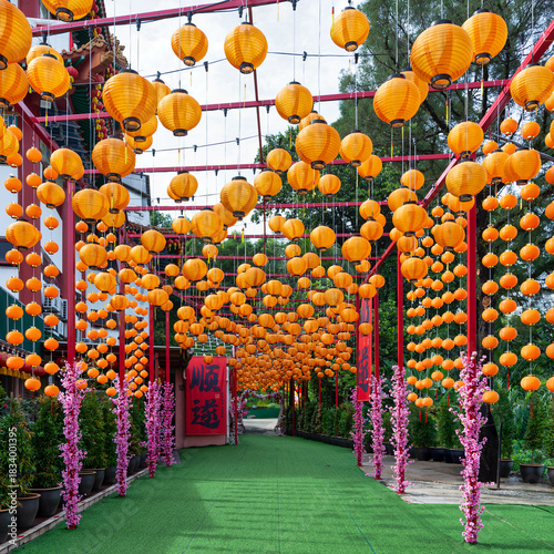 Photography Hundreds of orange lanterns and pink cherry blossoms adorn the pathway at Thean Hou Temple, Kuala Lumpur, Malaysia, creating a vibrant scene