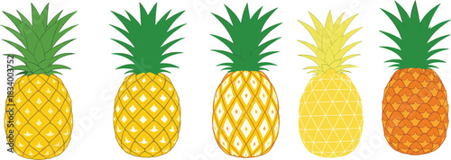 Pineapple Fruit Illustration Set with Different Textures Colors and Patterns Tropical Flat Vector Collection
