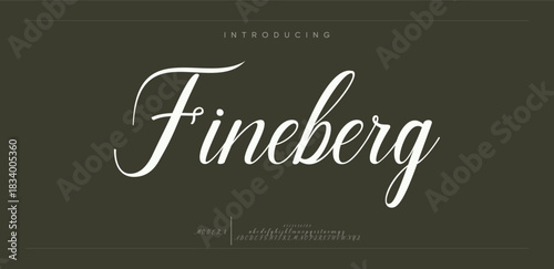 Elegant Font Uppercase Lowercase and Number. Classic Lettering Minimal Fashion Designs. Typography fonts regular decorative vintage concept. vector illustration