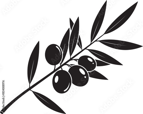Olive branch with olives and leaves black and white design
