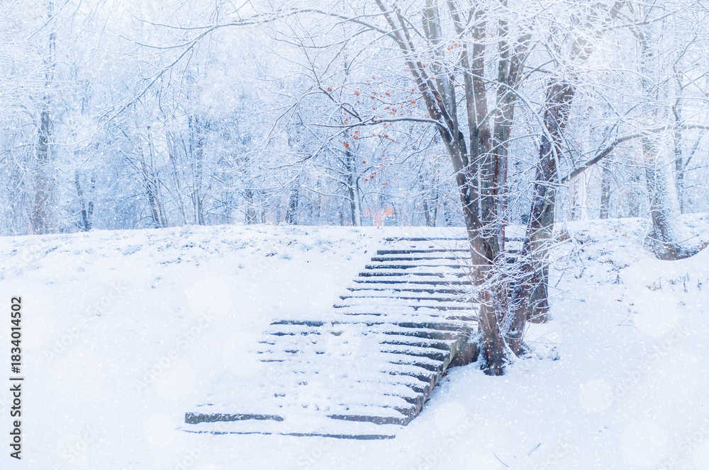 Fototapeta premium Winter landscape in cold tones - winter frosty trees and ancient stone stairs in the winter park under snowfall