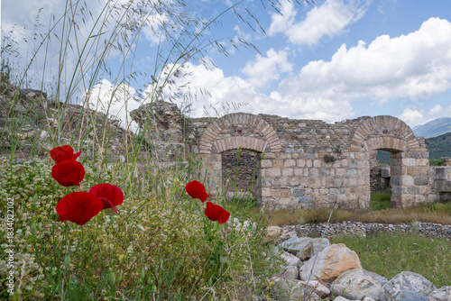 Ancient Tralleis site, Aydın-Turkey