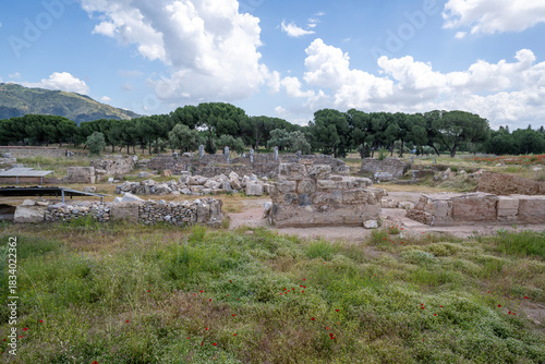 Ancient Tralleis site, Aydın-Turkey