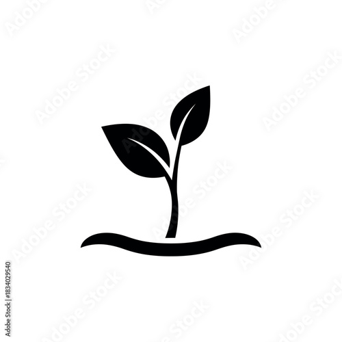 Sprout Growing in Soil.