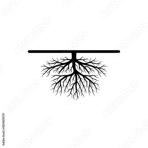 Tree roots system underground isolated on white background.