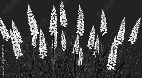 Dramatic monochrome illustration of elegant white flowers with long stems and leaves against a solid black background for high contrast.