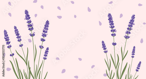 Soothing and beautiful background with watercolor lavender flowers and falling petals on the sides, with a blank central copy space.